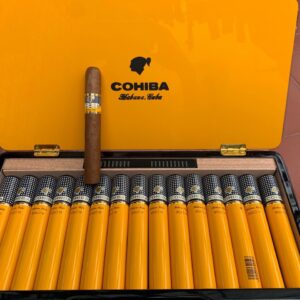Xi Ga Cohiba Siglo 6 Humidor 2
