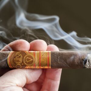 Xi Ga Oliva Serie V Menalio Figurado 2