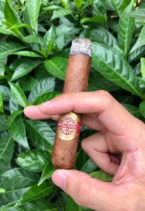 Mua Xì Gà ở Hồ Chí Minh 2 Xì Gà Quintero Favoritos Tubos