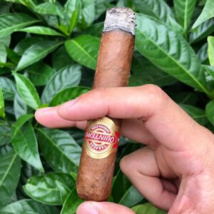 Xì Gà Quintero Favoritos Tubos 2 Xi Ga Quintero Favoritos Tubos 2