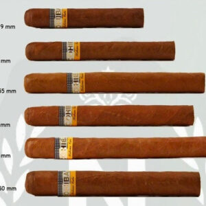 Xì Gà Cohiba Siglo 4 2 Xi Ga Siglo 4 1