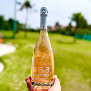 Rượu Vang 958 Santero Glam Gold 4 Ruou Vang 958 Santero Glam Gold 1