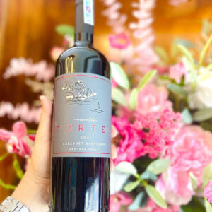Rượu Vang Muelle Tortel Cabernet Sauvignon 1 Ruou Vang Muelle Tortel Cabernet Sauvignon 2