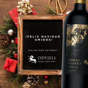Rượu Vang Odfjell Aliara Chile 2 Ruou Vang Odfjell Aliara Chile 2
