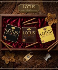 Xì Gà Lotus Mini