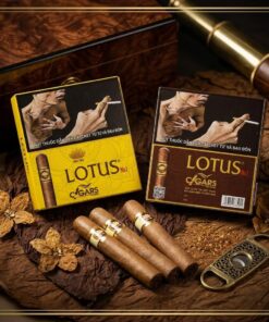 Xì Gà Lotus No 1