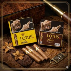 Xì Gà Lotus No 1