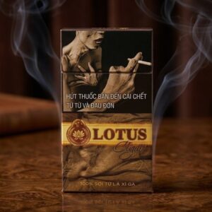 Xi Ga Lotus Slim 20 1