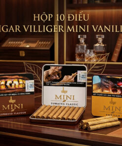 Xi Ga Villiger Mini 1