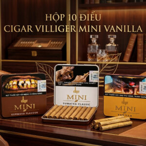 Xì Gà Villiger Mini 1 Xi Ga Villiger Mini 1