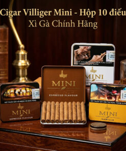 Xi Ga Villiger Mini 2