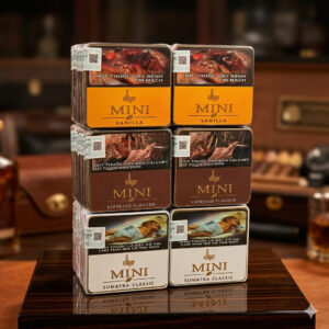 Xì Gà Villiger Mini